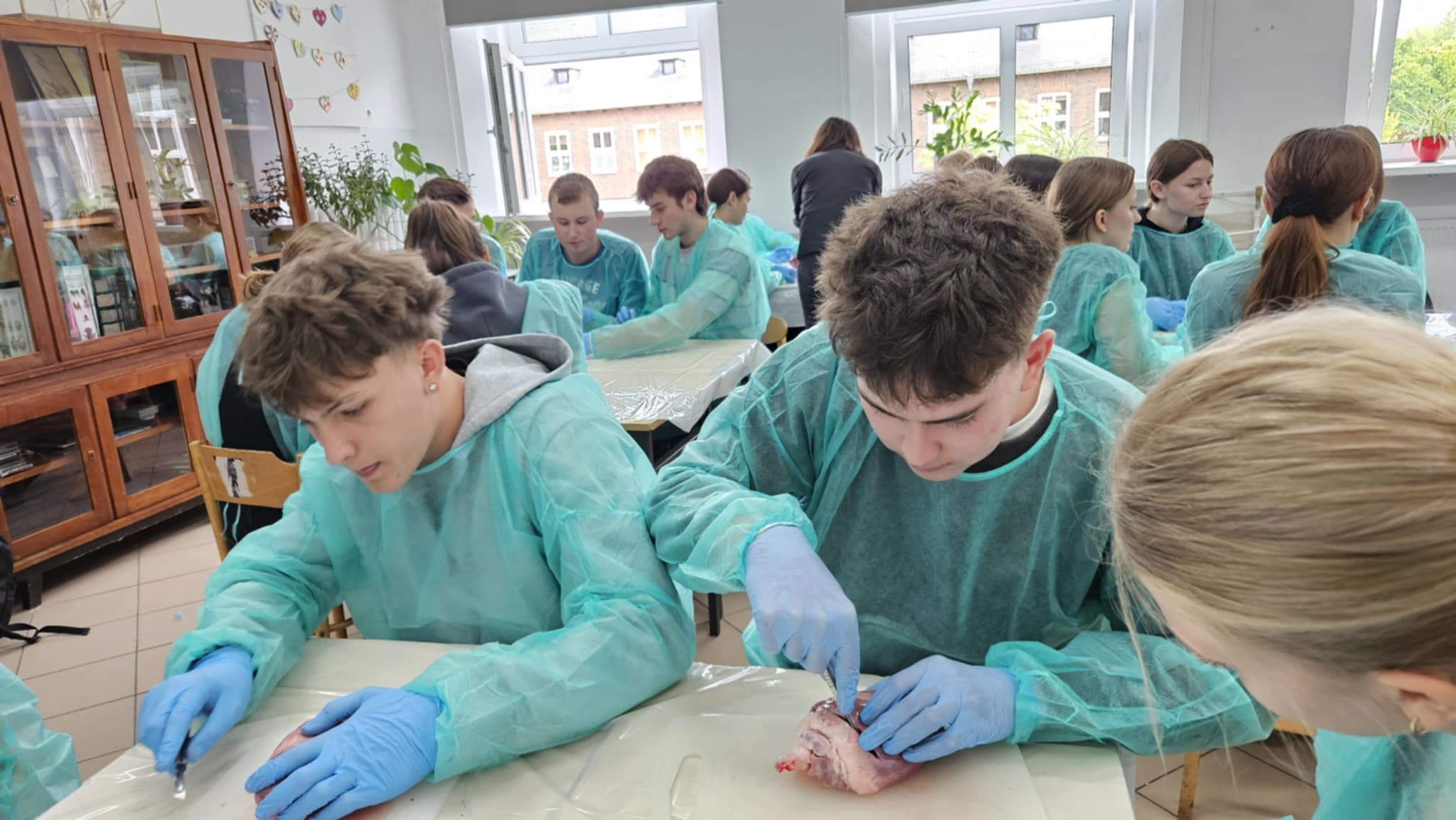 16862641-43d0-4d6e-a487-c67125f4a95f