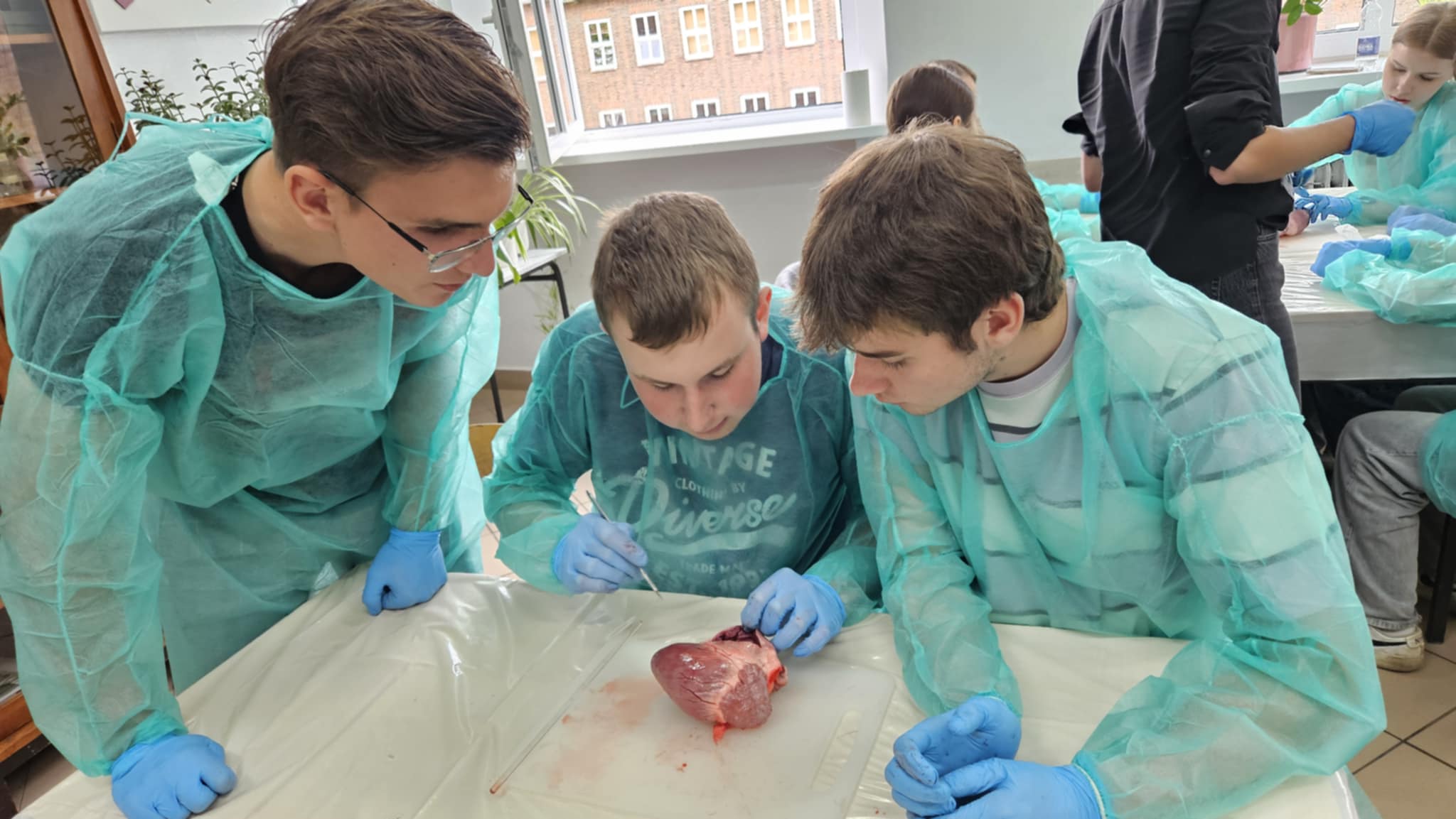 598ed9f0-b6d9-4511-947e-dd3dfae4d584