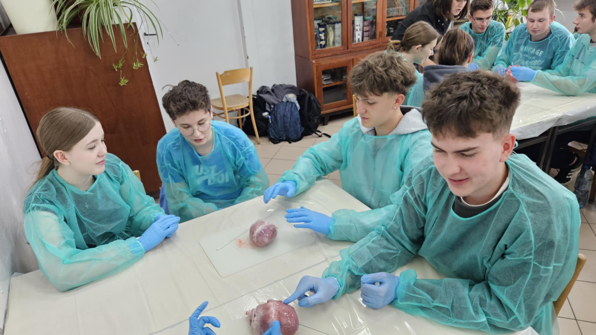 6a42451d-47a1-46a4-89d7-da767c9fe8c1