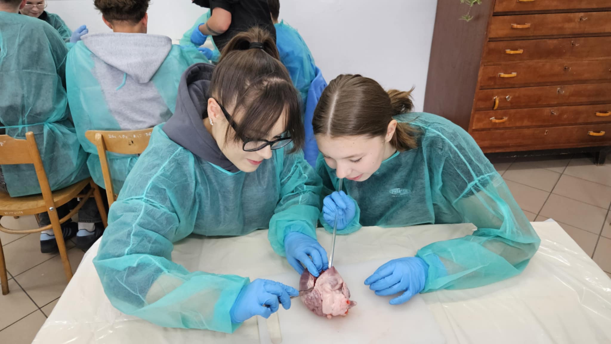 90332008-55a0-4ed1-bf31-4f65f5abd03b