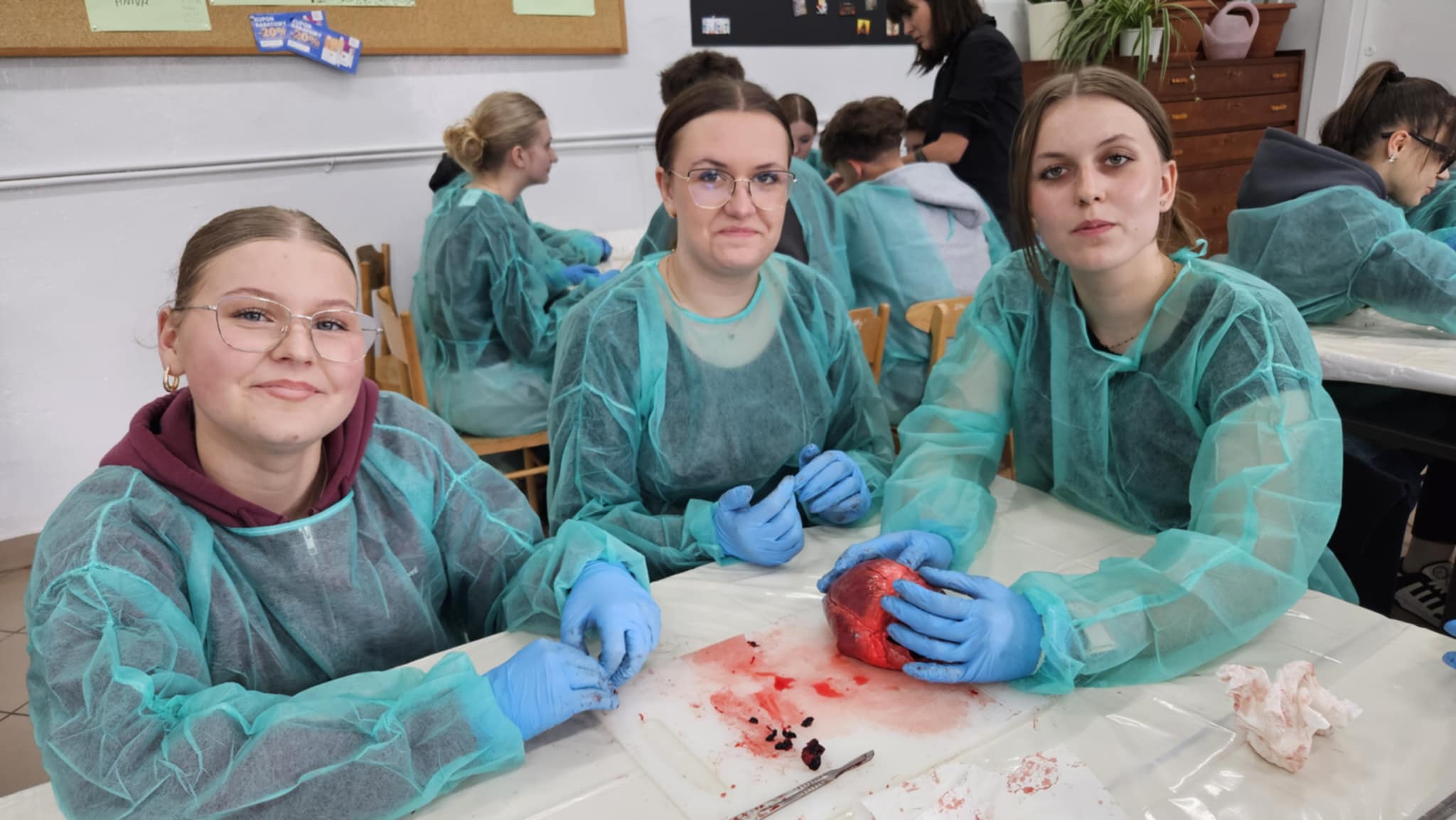 96173e1d-846e-44e7-8e2f-e8d8e539ae15