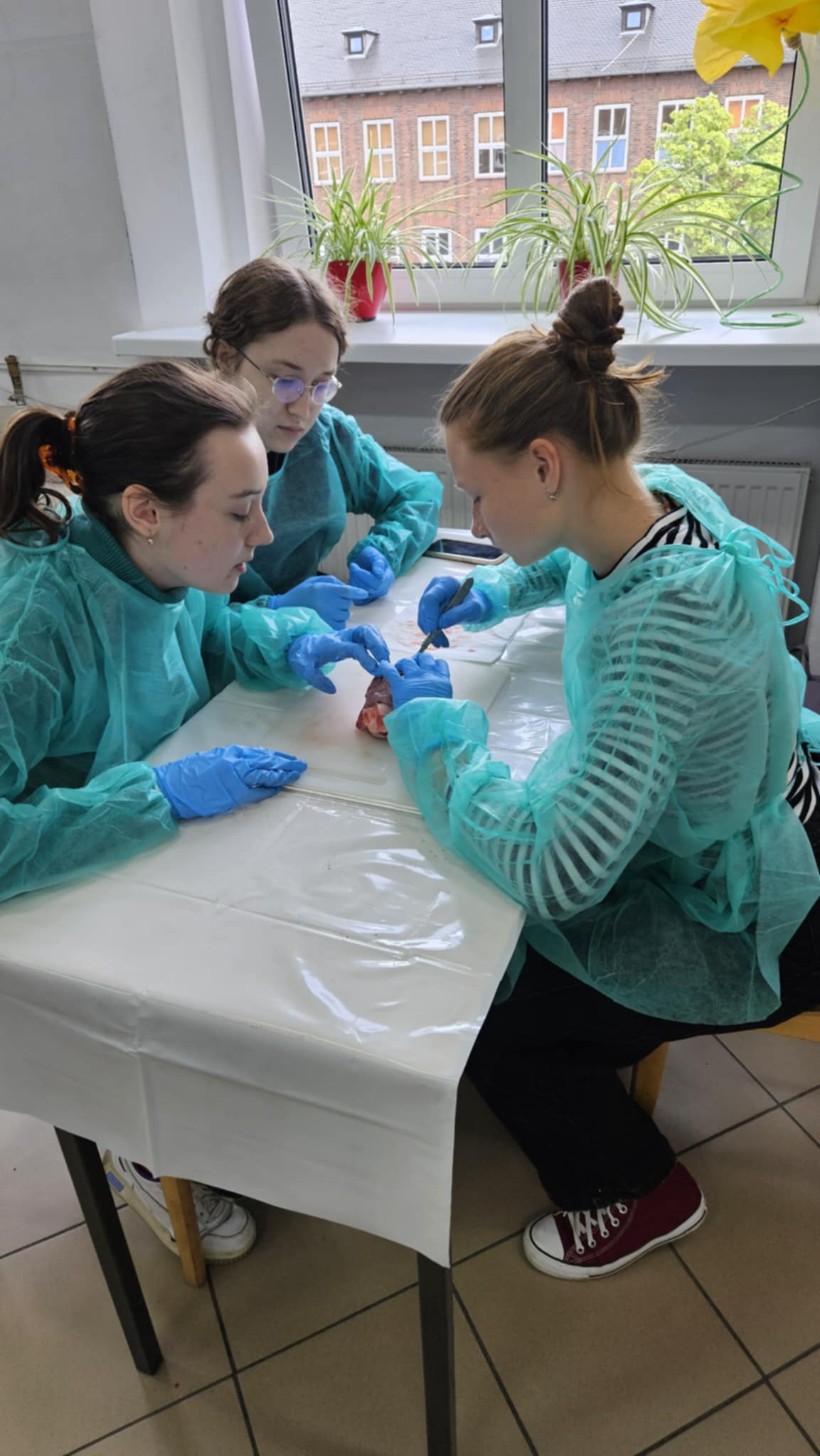 b70f0a16-3f20-43c0-94f7-76cb23437cd8